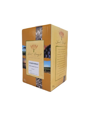 SPECIAL OFFER ! BOX 5 L - Chardonnay - Villa Saint Bénézet - IGP Pays d'Oc - White