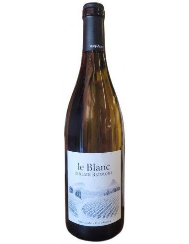 Pacherenc du Vic Bilh sec - Alain Brumont -Le blanc - White -2023