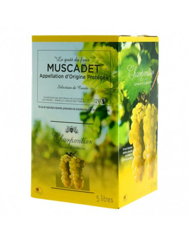 Box 5L - Muscadet - Guillaume Charpentier - White