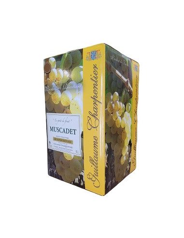 Box 10L - Muscadet - Guillaume Charpentier - White