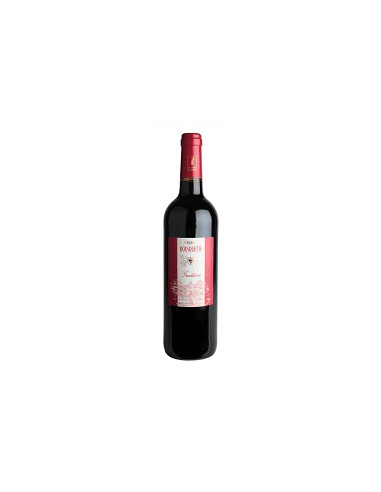 ORGANIC - Saint-Chinian - Château Bousquette - Tradition - Red - 2022