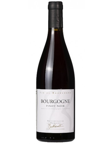 Bourgogne Pinot Noir - Domaine Berthault - Red - 2023