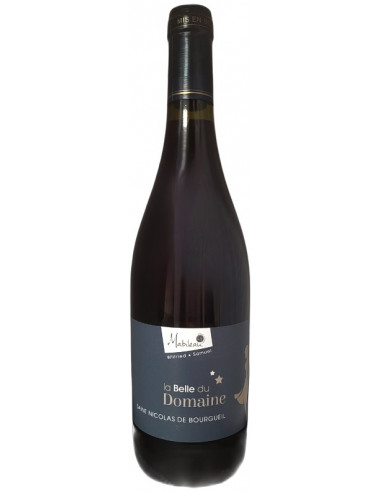 Saint-Nicolas de Bourgueil - La Belle du Domaine - Mabileau - Red - 2023